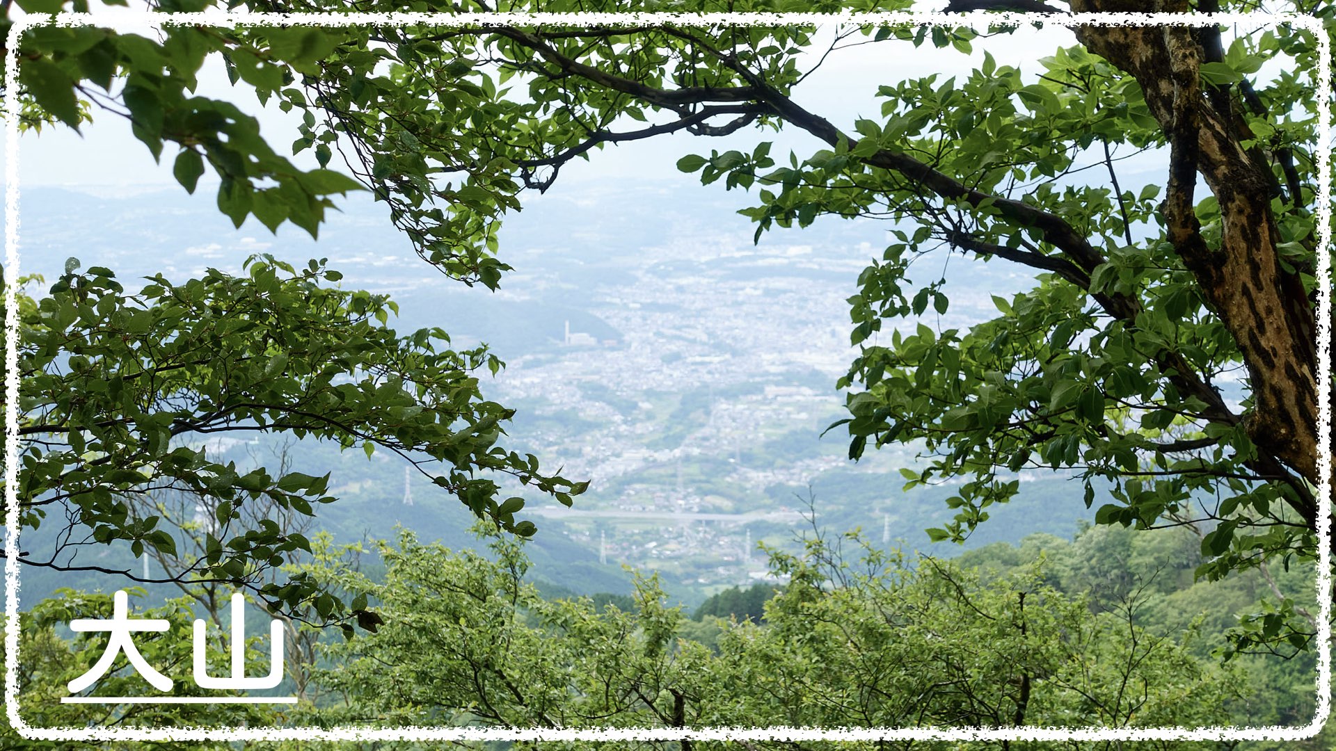 『大山（1252m）』は良いところ🙆